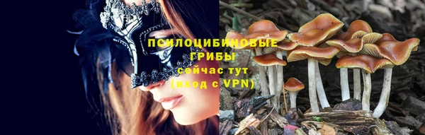 эйфоретик Армянск