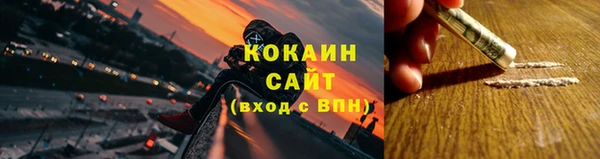 PSILOCYBIN Аркадак